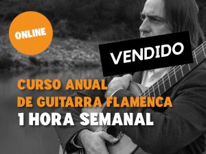 Curso anual particular de Guitarra Online