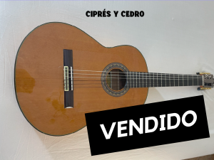 Guitarra Flamenca + 1 año de estudio personal